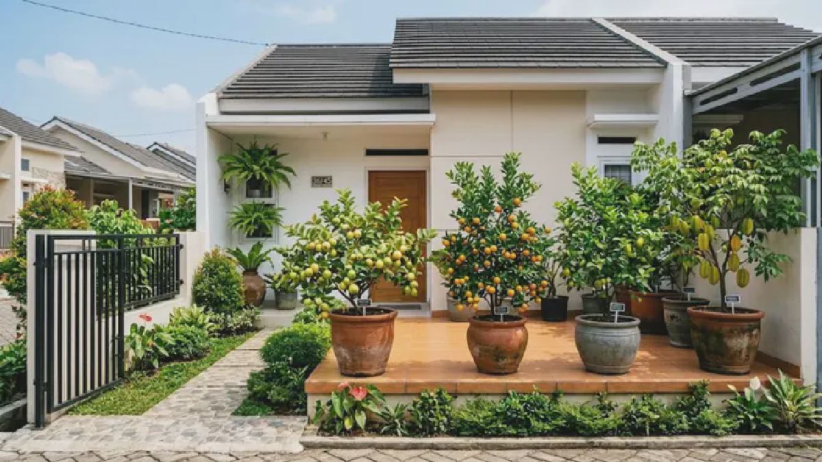 Pakar Ungkap 10 Pohon Buah Pendek yang Tetap Berbuah Lebat