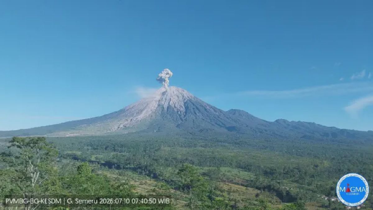 Gunung Semeru Erupsi Jumat Pagi, Status Siaga Diberlakukan