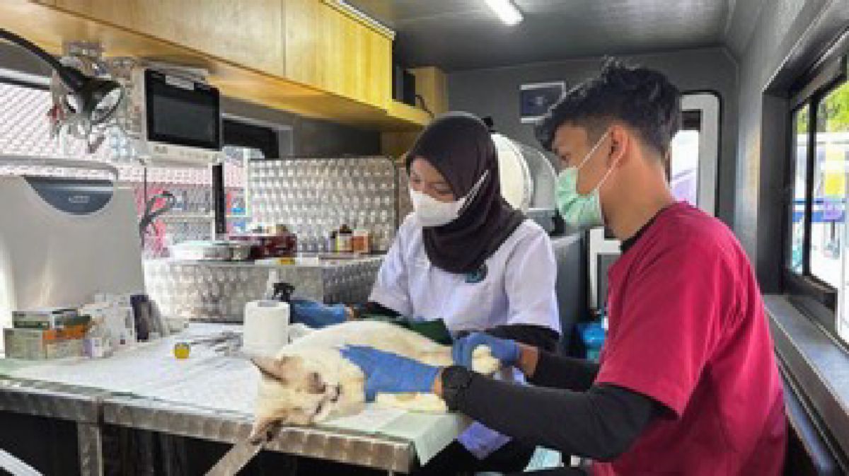 DKI Jakarta Luncurkan 5 Unit Mobil Klinik Hewan Keliling