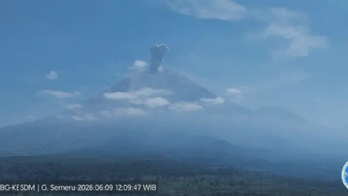 Gunung Semeru Erupsi dengan Tinggi Letusan 1,2 Kilometer pada Selasa Siang