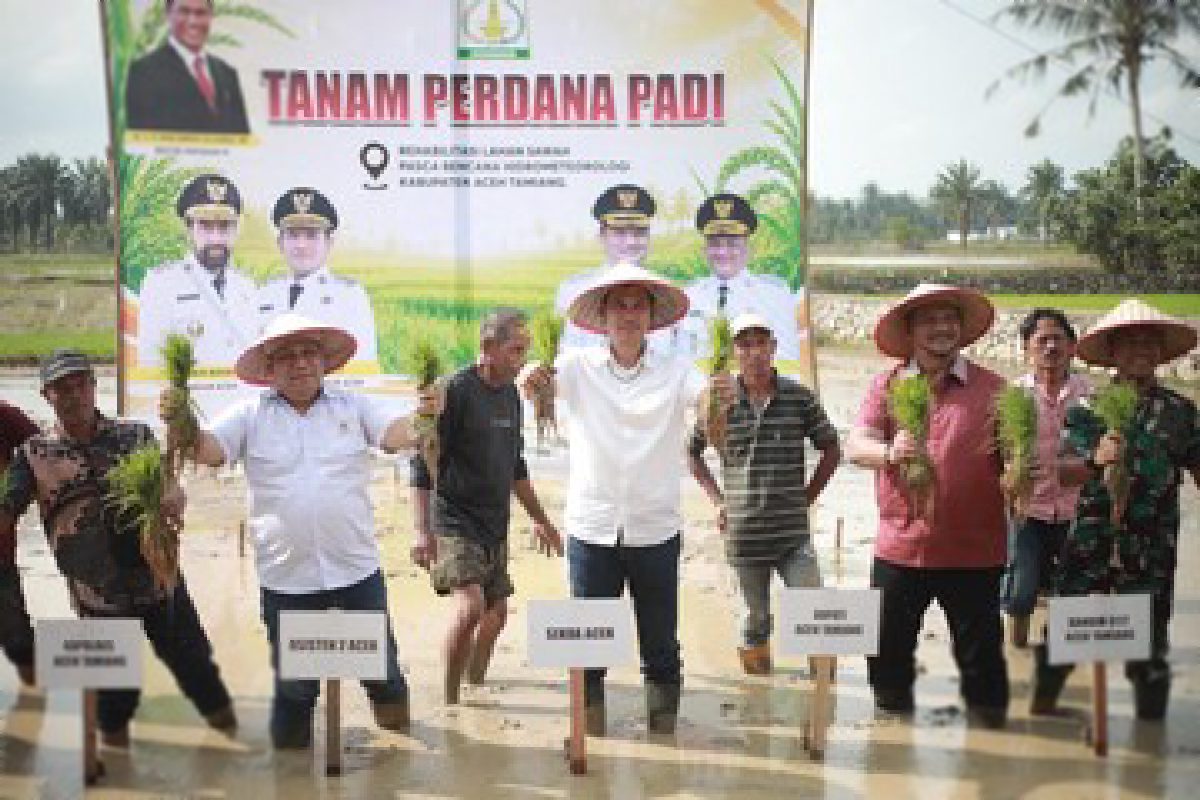 Pemulihan Pertanian Aceh Dimulai, Sekda Apresiasi Satgas PRR