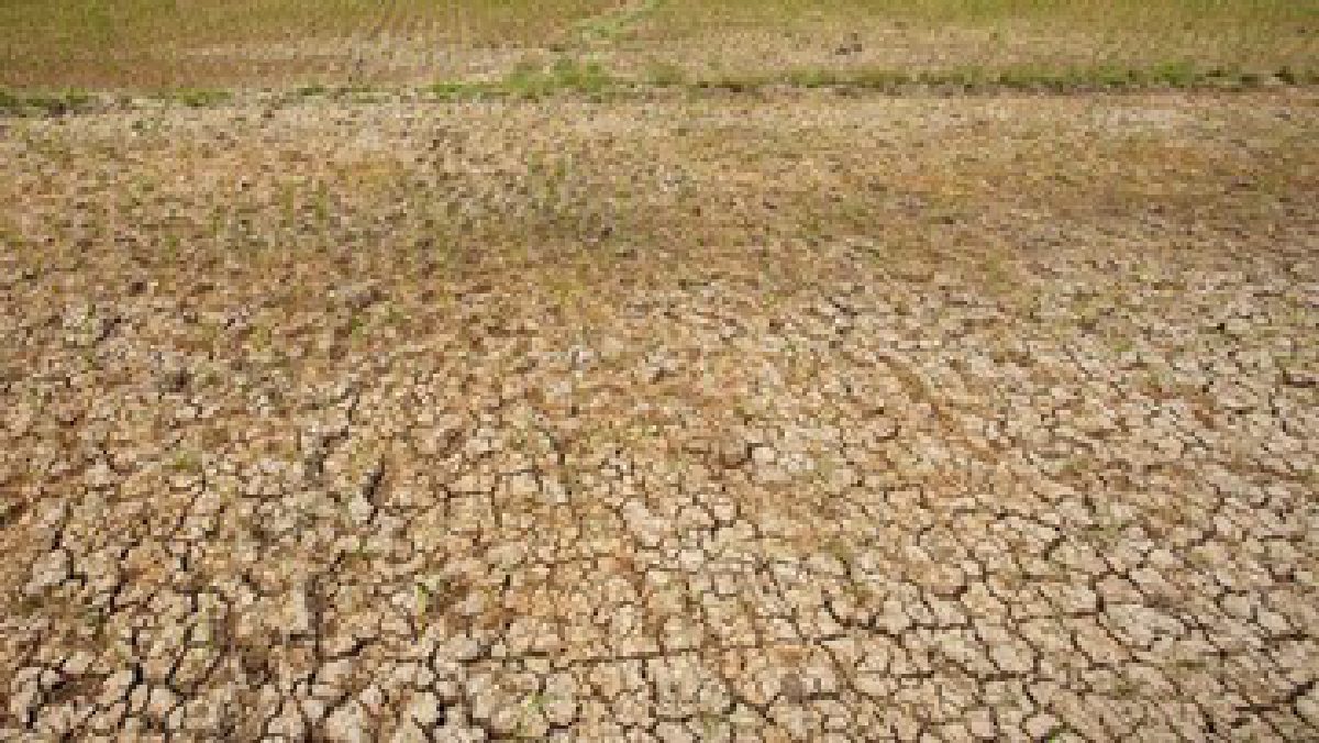 Pemprov Banten Siapkan Pompa Air Cegah Sawah Gagal Panen Akibat El Nino