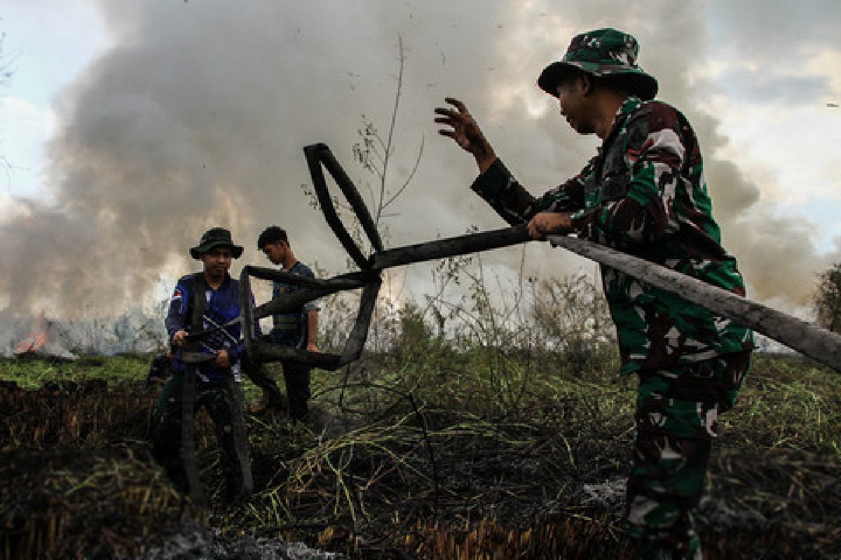 Status Siaga Darurat Karhutla Ditetapkan, Lahan Gambut Palangka Raya Terbakar